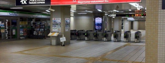 TX Nagareyama-otakanomori Station is one of The stations I visited.