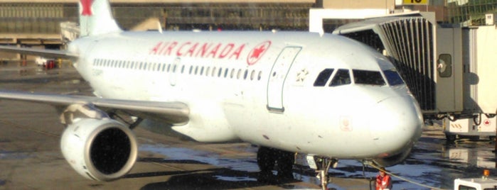 Calgary International Airport (YYC) is one of Airports - worldwide.