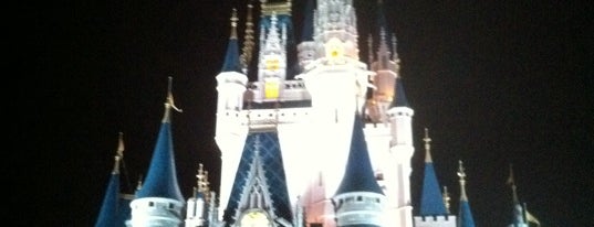 Magic Kingdom Park is one of Fave Spots!.