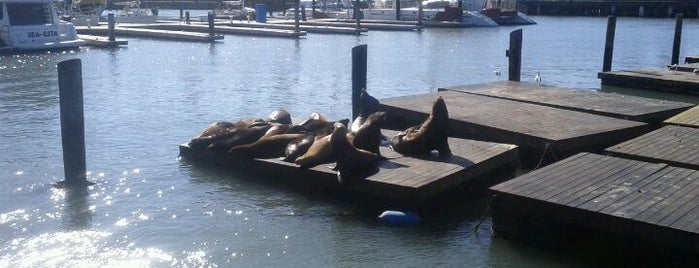 Pier 39 is one of Must Visit Spots In San Francisco.
