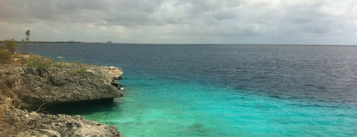 Bonaire, Netherland Antilles is one of Wish List North America.