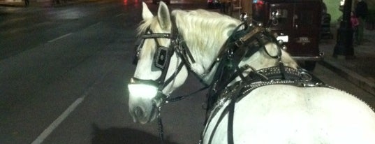 Austin Carriage is one of Arkansas.