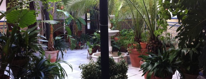 Rusticae Casa De Los Azulejos Hotel Cordoba is one of Adam’s Liked Places.