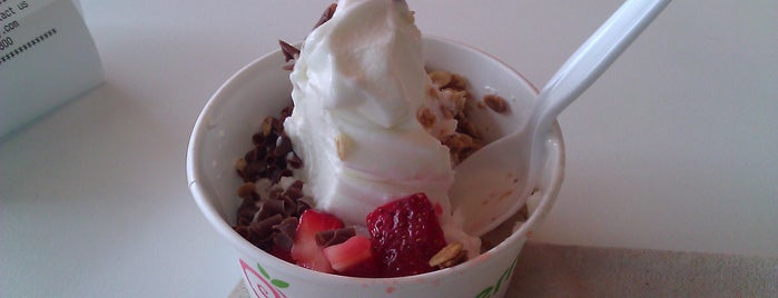 Pinkberry is one of FLORDIA.