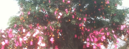 Lam Tsuen Wishing Tree is one of สถานที่ที่บันทึกไว้ของ Burcu.