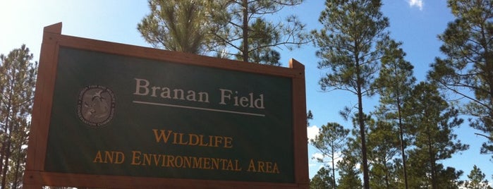 Branan Field Wildlife and Environmental Area is one of JAX Outdoors.