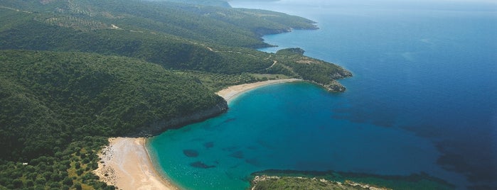 Foinikounta Beach is one of Discover Peloponnese.