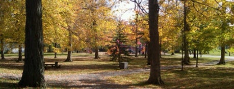 Hamlin Park is one of East Aurora.