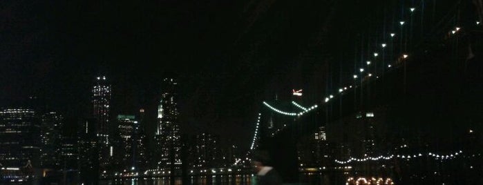 Brooklyn Bridge Park is one of NYC greatest venues.