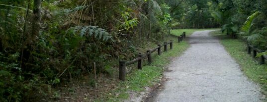 Parque Ecológico do Córrego Grande is one of Onde correr em Florianópolis.