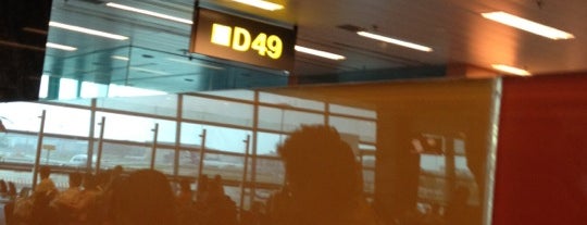 Gate D49 is one of SIN Airport Gates.