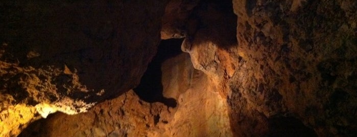 Cuevas De San Jose is one of Lieux qui ont plu à Bob.