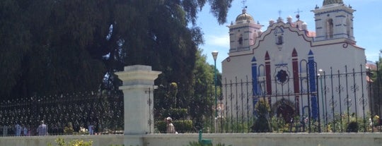 Árbol del Tule is one of World Heritage Sites List.