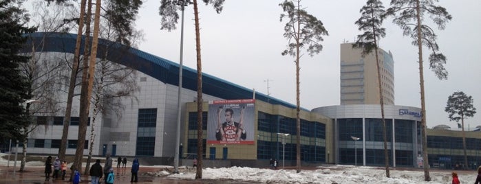 Арeнa «Балашиха» is one of КХЛ | KHL.