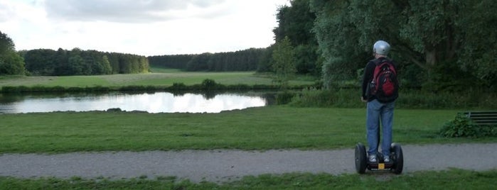 Amsterdamse Bos is one of Spots to visit for work-out..
