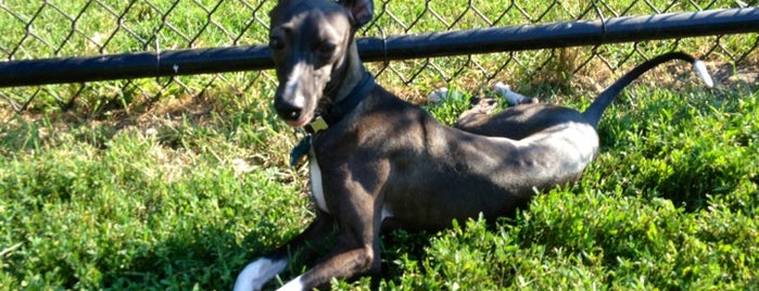 Newton Street Dog Park is one of Outdoors.