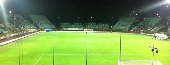 Stadio Artemio Franchi is one of Stadi Serie A.