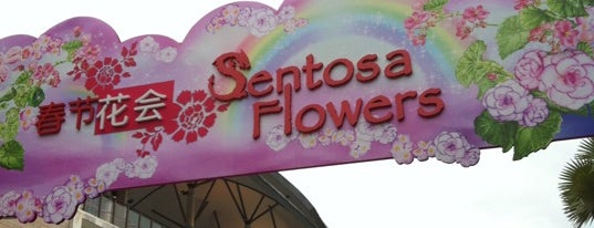 Sentosa Flowers Festival is one of le 4sq with Donald :].