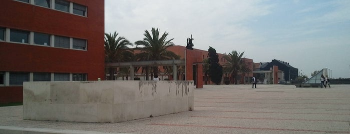 Edifício da Reitoria da Universidade de Aveiro is one of Universidade de Aveiro Campus.