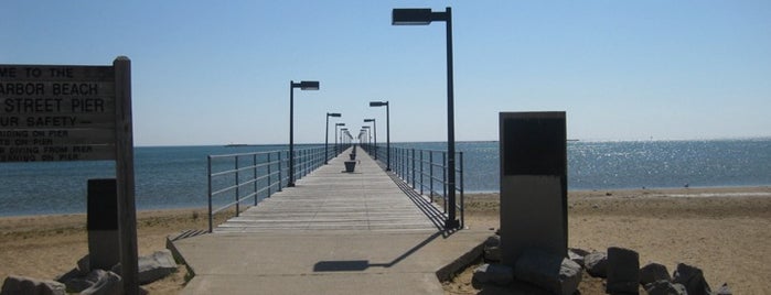 City of Harbor Beach is one of Cities of Michigan: Northern Edition.