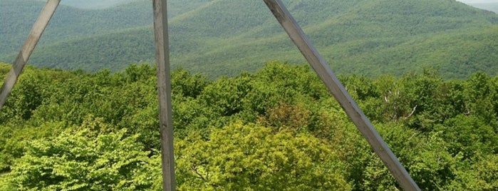 Overlook Mountain is one of Catskills.