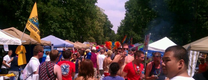 Pridefest 2012 is one of Must see in St. Louis.
