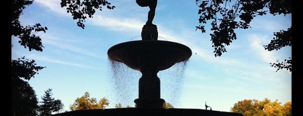 Pulitzer Fountain is one of NYC I see.
