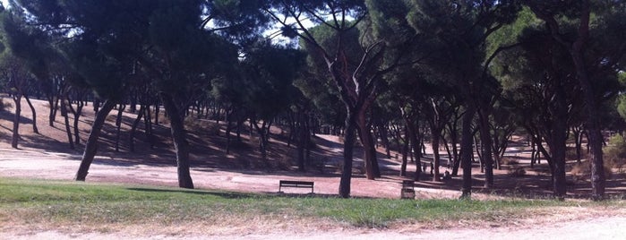 Parque Dehesa de la Villa is one of Parques de Madrid.