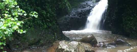 Maunawili Falls Trail is one of Hawaii.