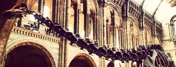 Natural History Museum is one of London I Love You.