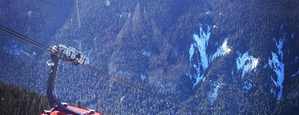 Whistler Ski