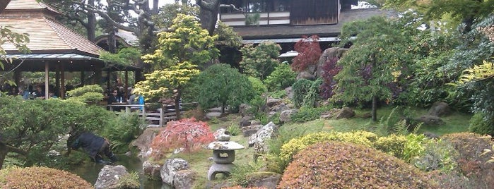 Japanese Tea Garden is one of San Francisco Tourists' Hits.