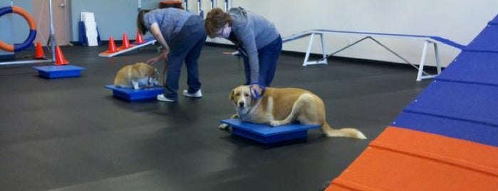 Zoom Room Dog Training is one of Tempat yang Disukai Eric.