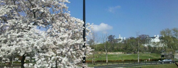 Brown's Island is one of RVA parks.