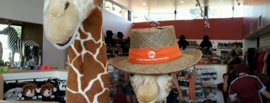 Taronga Western Plains Zoo is one of Entertainment For Kids.