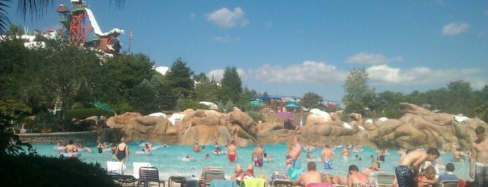 Disney's Blizzard Beach Water Park is one of Theme Parks & Roller Coasters.