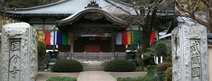 Musashi Kokubunji Temple Remains is one of 多摩・武蔵野ウォーキング.
