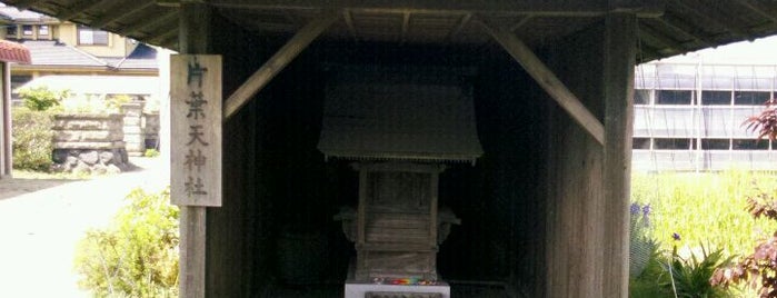 片葉天神社 is one of 神奈川東部の神社(除横浜川崎).