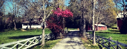 Talley Day Park is one of Lieux sauvegardés par Matthew.