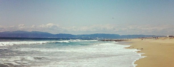 El Segundo Beach is one of Senator : понравившиеся места.