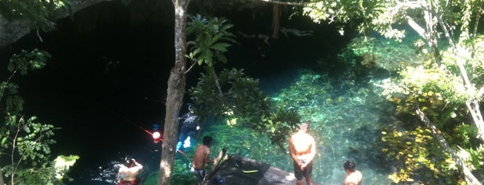 Gran Cenote is one of Tulum.