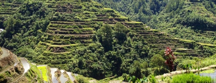 Banaue Rice Terraces Viewpoint is one of Wish List Asia.