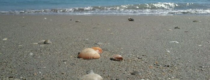 South Hutchinson Island is one of Mags (Beaux)'ın Beğendiği Mekanlar.