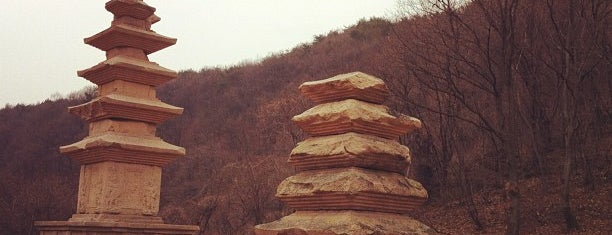 월성 장항리사지 서 오층석탑 is one of 경주 / 慶州 / Gyeongju.