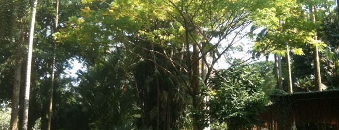 Heritage Trees Trail is one of Singapur.