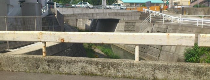 青雲橋 is one of 長崎市の橋 Bridges in Nagasaki-city.