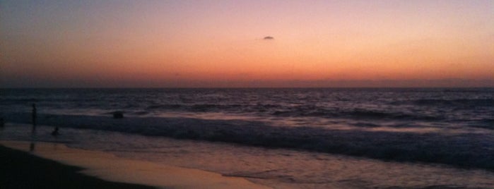 Palmachim Beach is one of Posti che sono piaciuti a LinkTree.