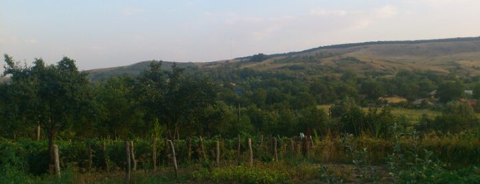 Dolhesti, Iasi is one of Romania 2012.