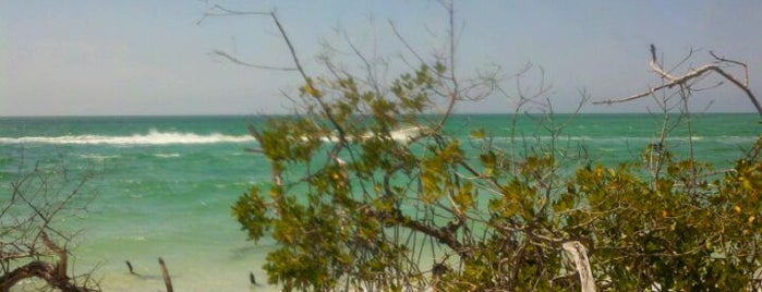 Cayo Costa State Park is one of america the beautiful.