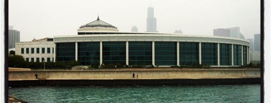 Shedd Aquarium is one of Saturday in Chicago.